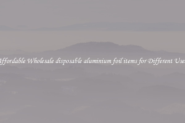 Affordable Wholesale disposable aluminium foil items for Different Uses 