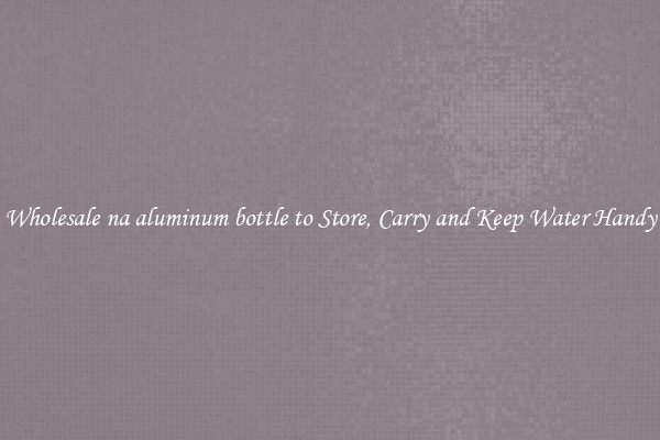 Wholesale na aluminum bottle to Store, Carry and Keep Water Handy