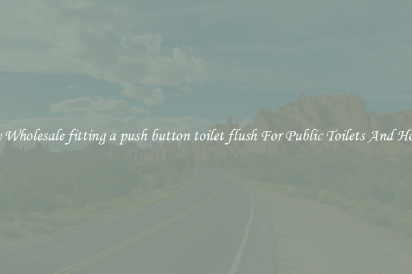 Buy Wholesale fitting a push button toilet flush For Public Toilets And Homes