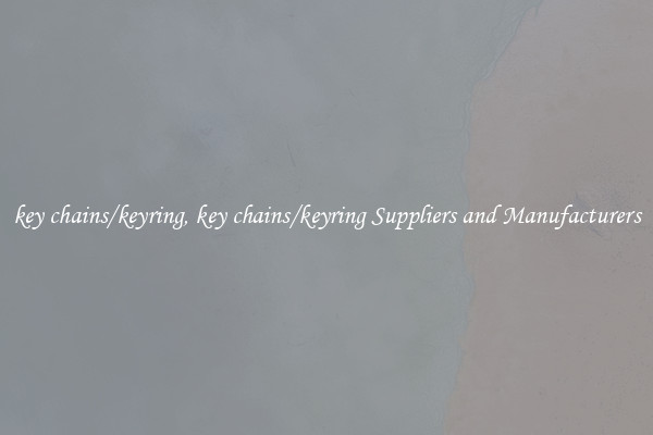 key chains/keyring, key chains/keyring Suppliers and Manufacturers