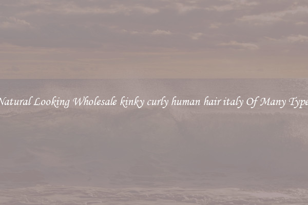 Natural Looking Wholesale kinky curly human hair italy Of Many Types