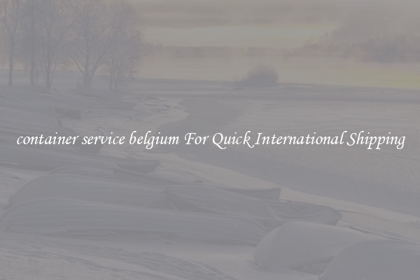 container service belgium For Quick International Shipping