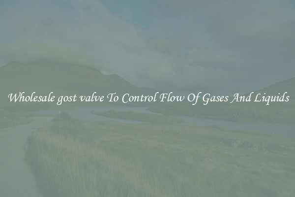 Wholesale gost valve To Control Flow Of Gases And Liquids