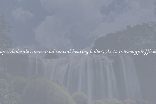 Buy Wholesale commercial central heating boilers As It Is Energy Efficient
