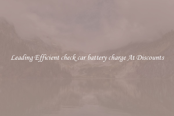Leading Efficient check car battery charge At Discounts