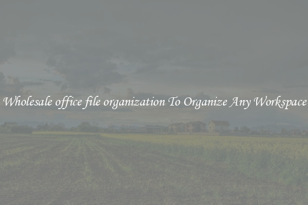 Wholesale office file organization To Organize Any Workspace