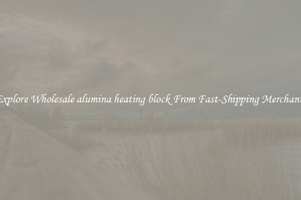 Explore Wholesale alumina heating block From Fast-Shipping Merchants