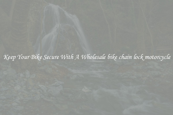 Keep Your Bike Secure With A Wholesale bike chain lock motorcycle