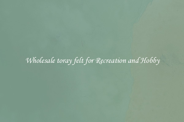 Wholesale toray felt for Recreation and Hobby