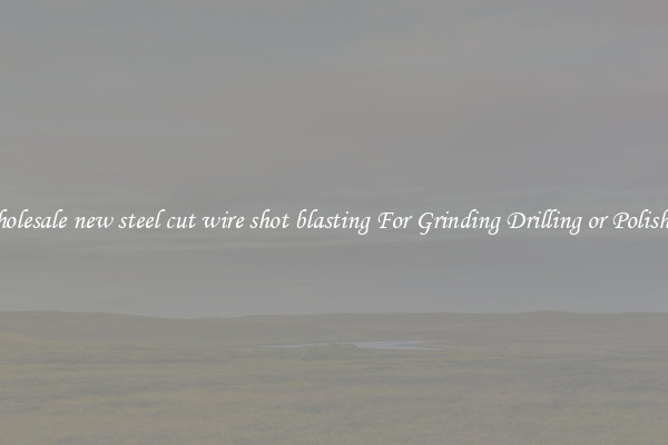 Wholesale new steel cut wire shot blasting For Grinding Drilling or Polishing