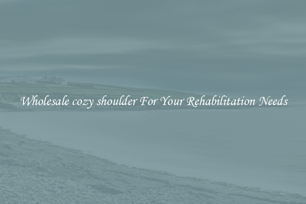 Wholesale cozy shoulder For Your Rehabilitation Needs