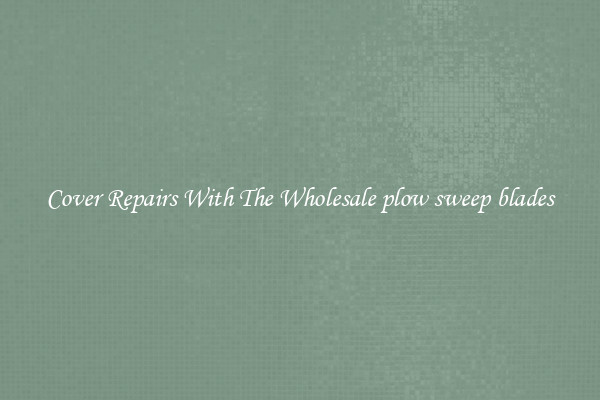 Cover Repairs With The Wholesale plow sweep blades 