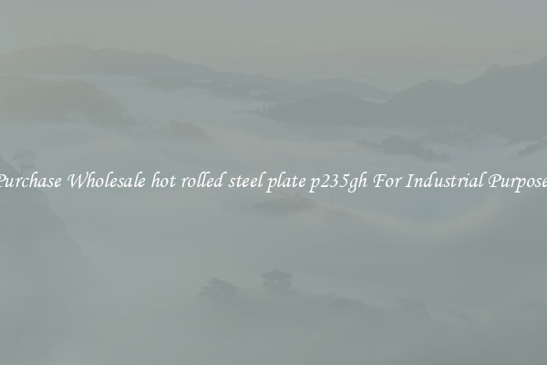 Purchase Wholesale hot rolled steel plate p235gh For Industrial Purposes