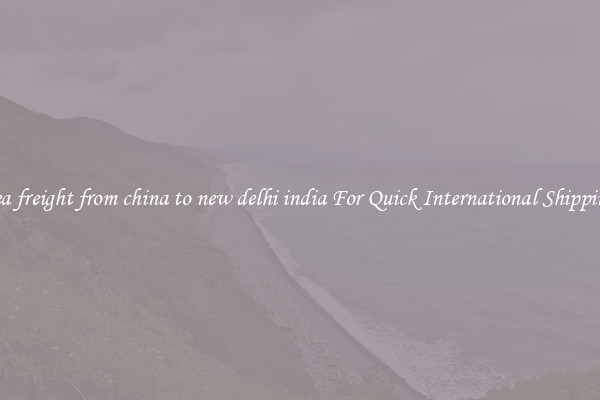 sea freight from china to new delhi india For Quick International Shipping