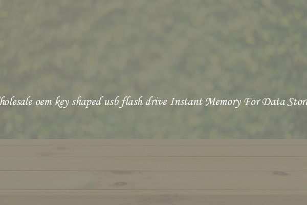 Wholesale oem key shaped usb flash drive Instant Memory For Data Storage
