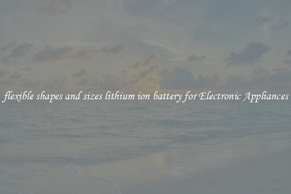 flexible shapes and sizes lithium ion battery for Electronic Appliances